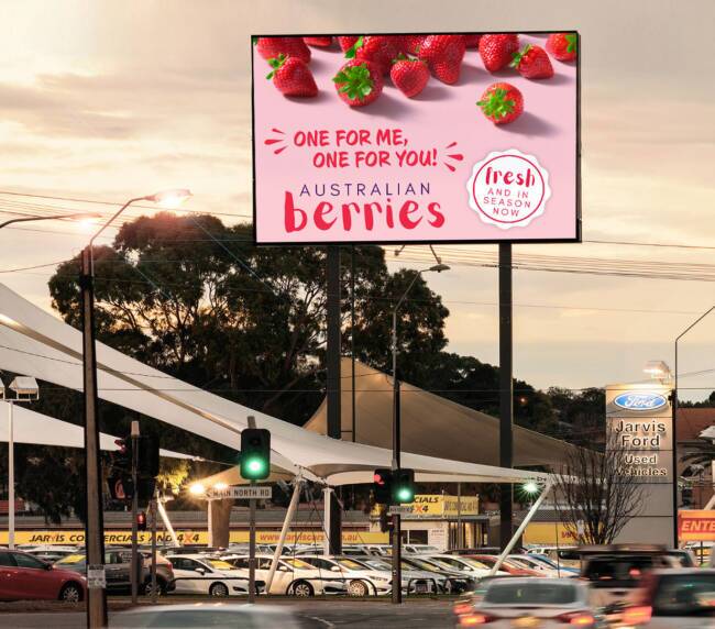 Australian berries