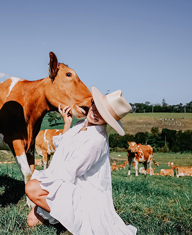 Maleny Dairies