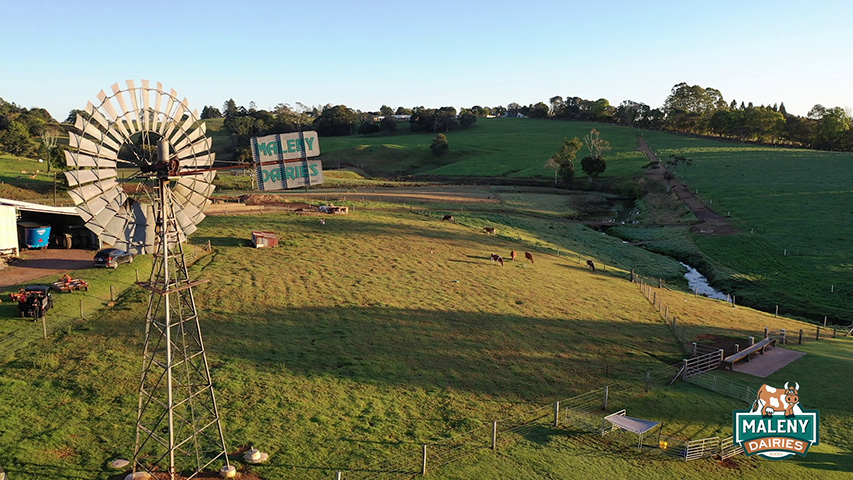 Maleny Dairies