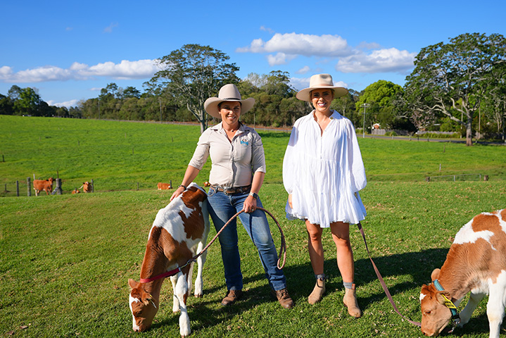 Maleny Dairies