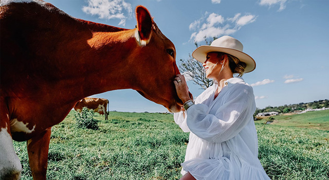 Media Merchants Maleny Dairies