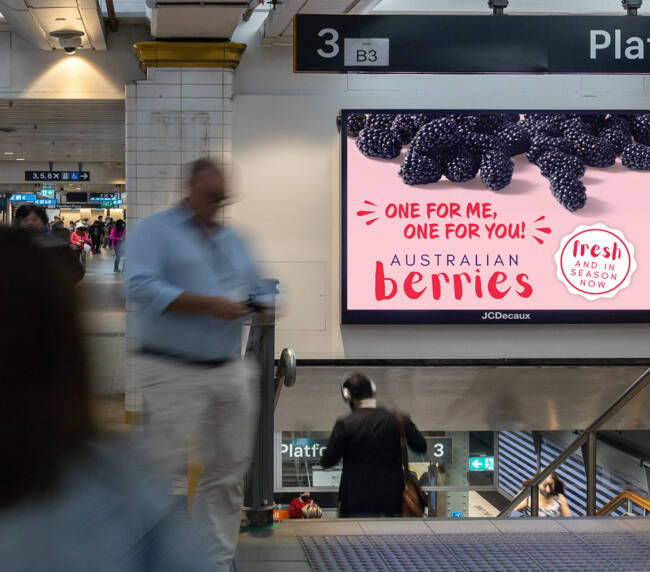 Australian berries