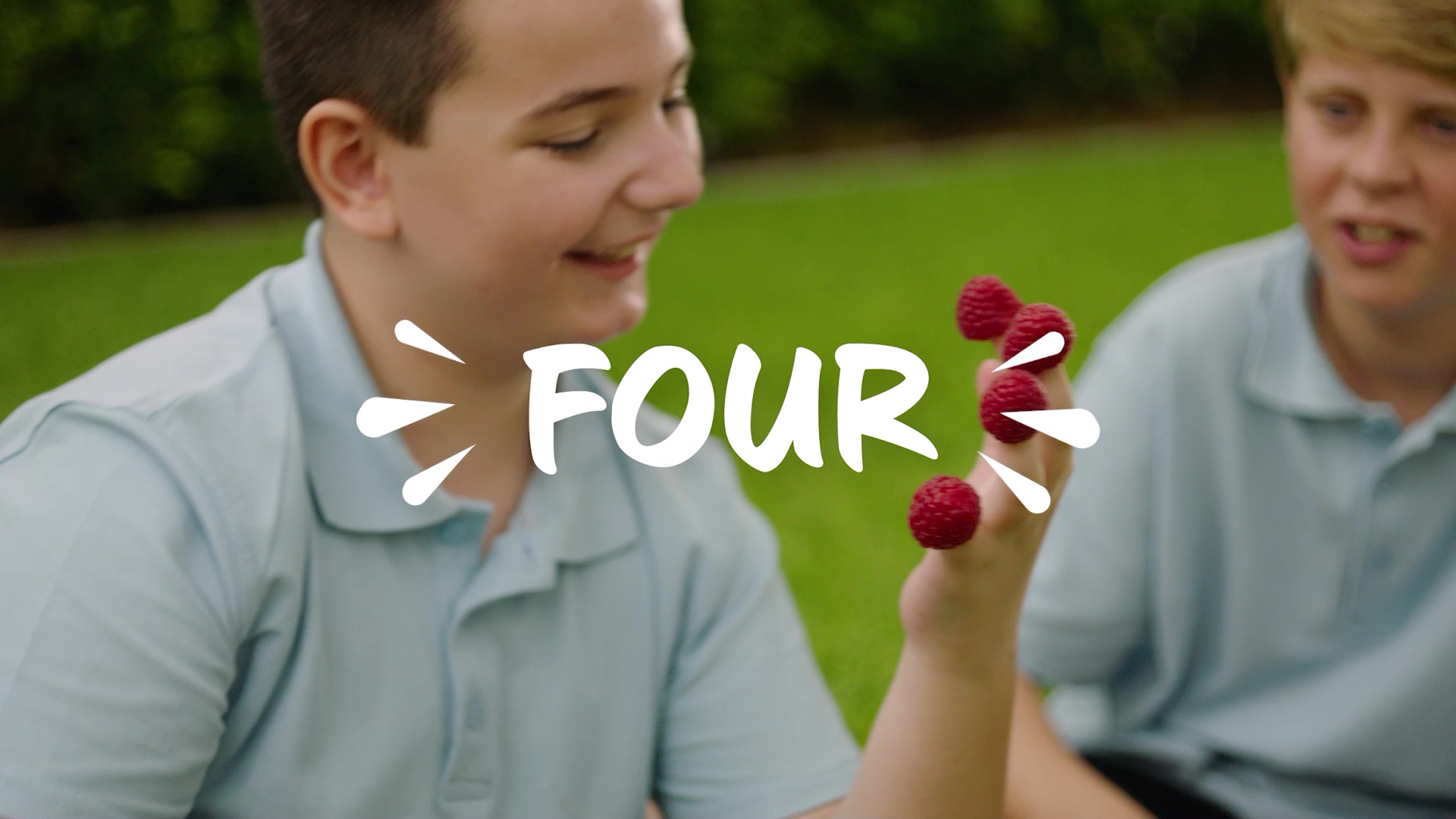 Berry Basket - Creative Concept