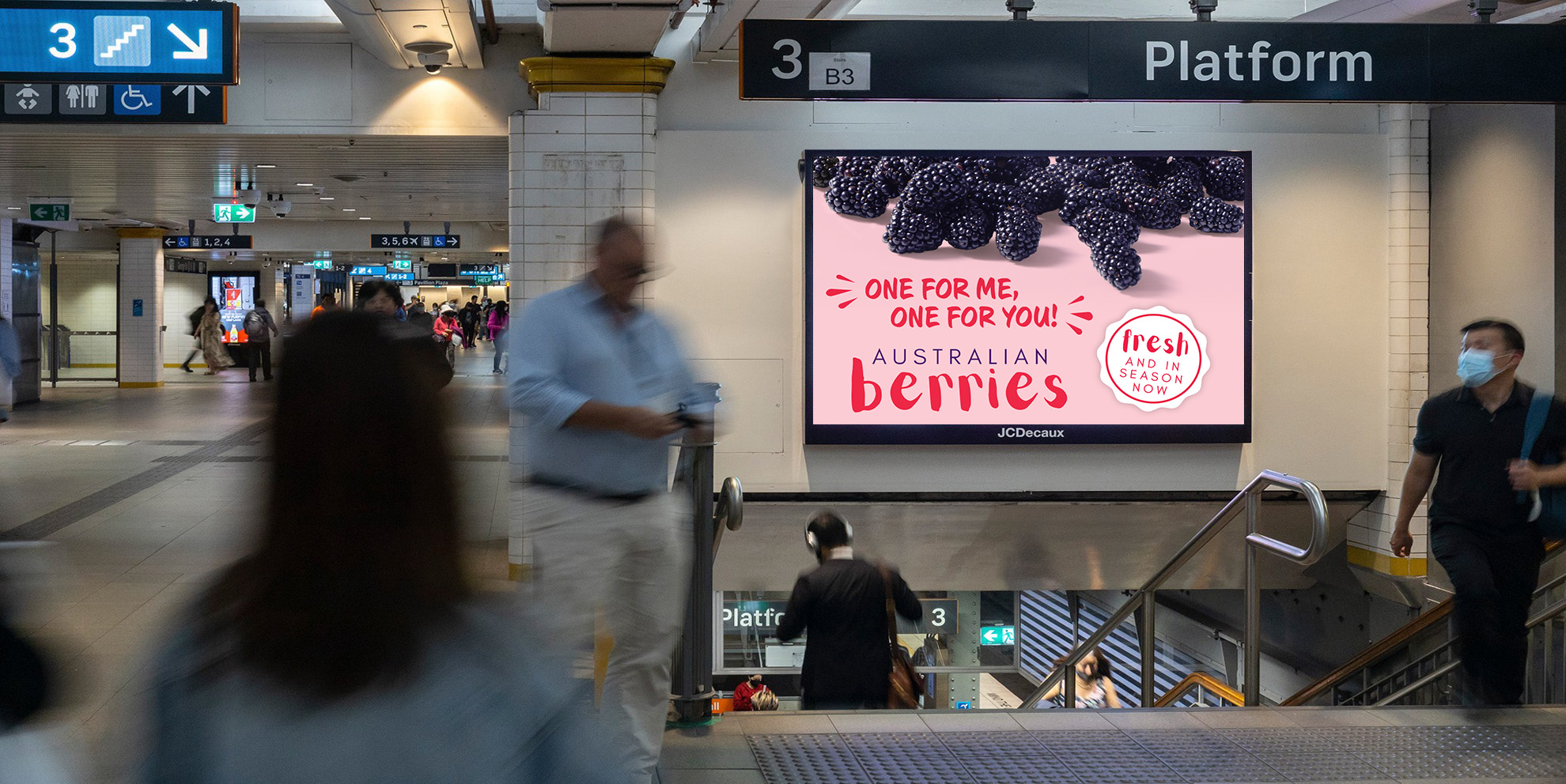 Berry Basket Creative Campaign